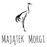 Majątek Morgi