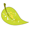 Majols Natura