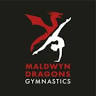 Maldwyn Dragons Gymnastic Club