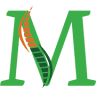 Mangini Physical Therapy