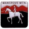 Mangrove Mountain Pony Club