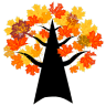 Maple Tree School