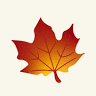 Maple Valley Montessori