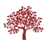 Maplewood Place RV Park