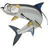 Kelly's Green Sport Fishing