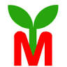 Yanagimoto Marche
