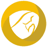 Mutual Assurance Risk Insurance Agency Inc. -M.A.R.I.A INC.