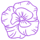 Mariam's Flowers