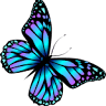 Mariposa Designs