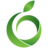 Marjan fruit Ltd.