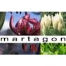 Martagon Marta Matusik