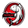 Master-Carp.kz