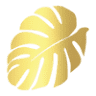 Maui InternationalReal Estate Services Inc