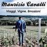 Maurizio Cavalli Srl