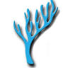 Max Reef Aquatics LLC