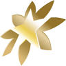 May Forestry JSC