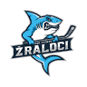 MBK Vyškov