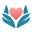 McDowell County Commission on Aging