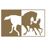 MCGREGOR EQUINE VETERINARY SERVICES