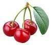Mc Mullin Orchards Inc