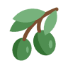Medicine Creek Olive Oil