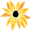 The Maryland Association of Campgrounds