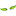 Mean Steam Carpet Cleaning LLC
