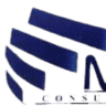 Mecer Consulting Limited