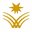 Najran Medicine College