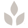 Medicvita S.R.L.