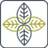 Medycyna Holistyczna, Fizjoterapia, Psychoterapia Kraków
