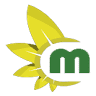 Megafiori