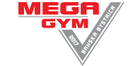 Megagym, S.r.o.