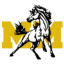 Melrose-Mindoro High School