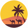 Merzouga Safari