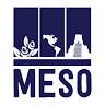Colegio Mesoamericano