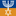 Messiaanse Gemeente Gouda