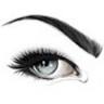 Meticulous Brow