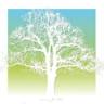 Metro Family Practice Inc: Freeman David R MD