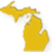 Michigan Fire Claims