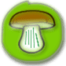 MicoCameros