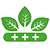 NPP VĨ MINH 2
