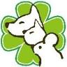 Migiwa Animal Clinic