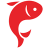 Mile High Koi