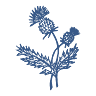Mill Prong Preservation, Inc.