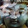 Mindfulness Psychology and Wellbeing