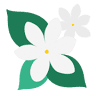 jasmine Pension