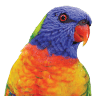 Mittagong Print and Design