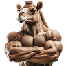 M-Muscle Store