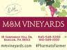 M & M Vineyards